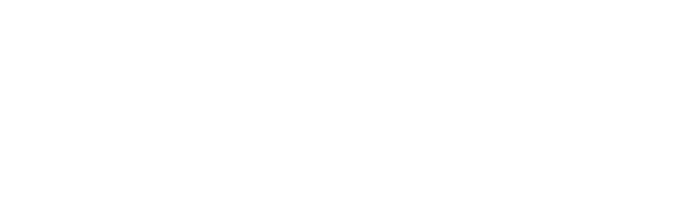 Skema BPI France