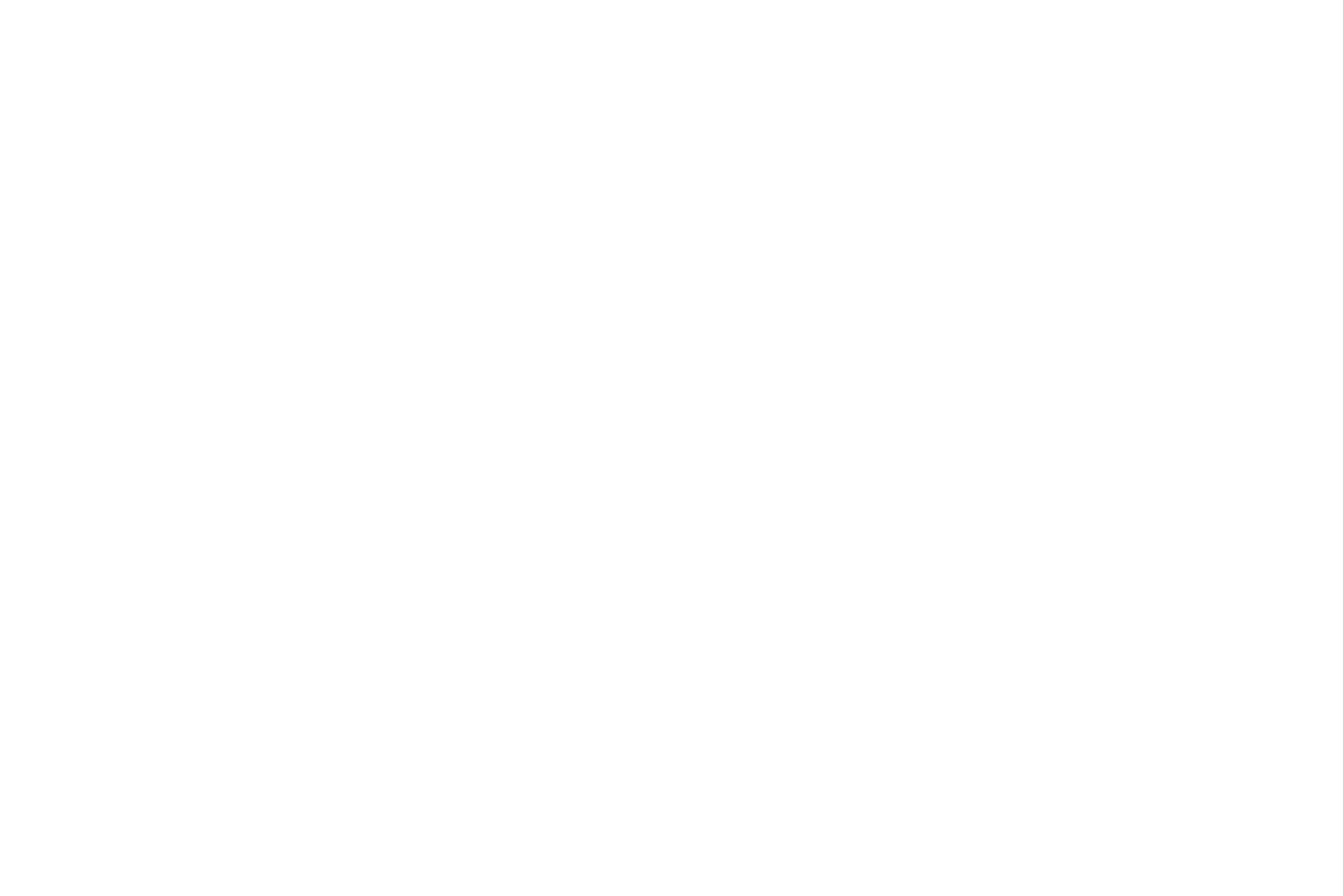 centrale lyon